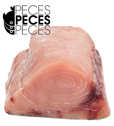 contacto-pecespecespeces